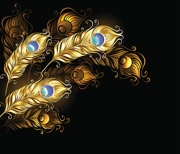 golden peacock feathers gold peacock feathers on a black background. peacock feather fan stock illustrations