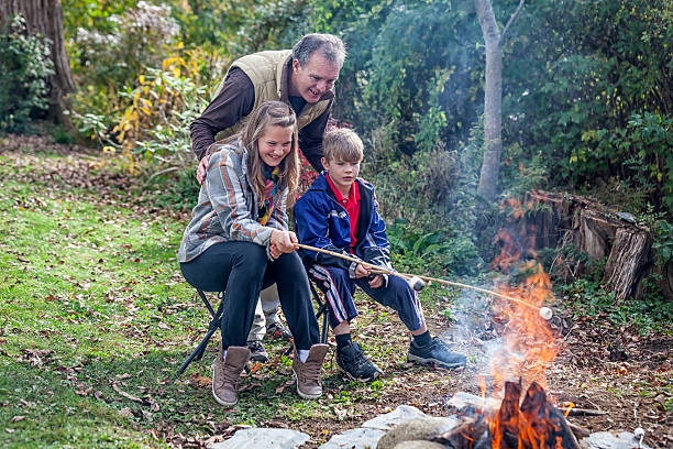 acampar: marshmallow ustulação para smores - mahone bay imagens e fotografias de stock