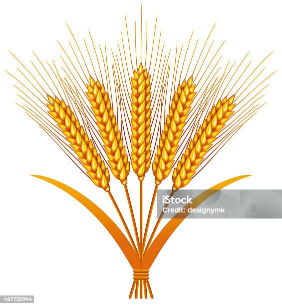 Bundles Of Wheat Stock Illustration - Download Image Now - 2015, Argentina, Autumn