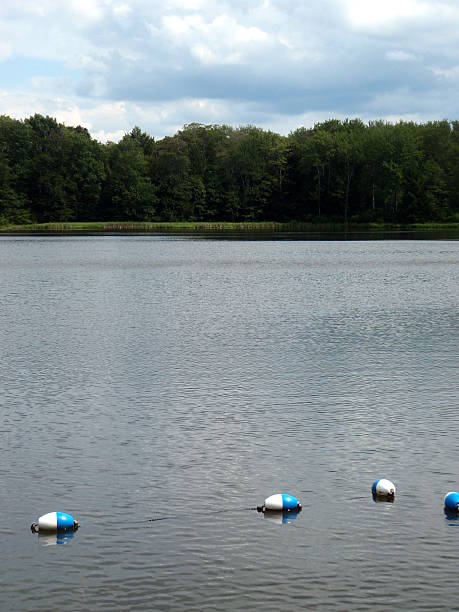 istock Blue and white buoys in a lake 467744666