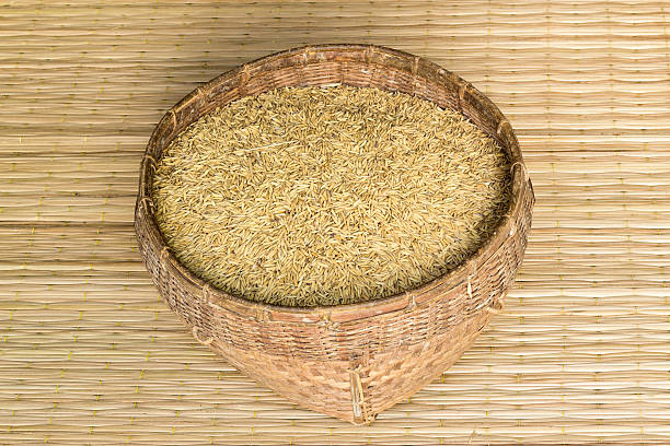 istock paddy rice in bamboo basket on mat weave background 467744880