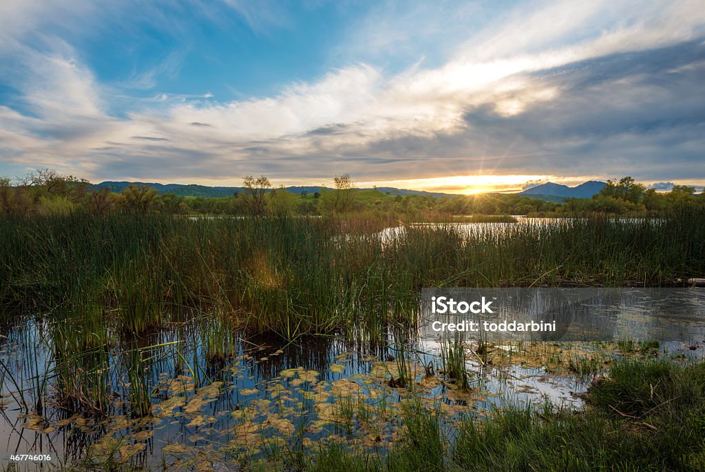 Marsh Creek Watershed at Sunset with Mt. Diablo This is Marsh Creek Watershed in Brentwood, California. USA. Mt. Diablo is in the background. California Stock Photo