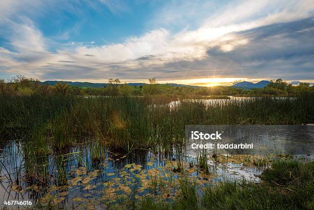 Marsh Creek Watershed At Sunset With Mt Diablo Stock Photo - Download Image Now - California, Wetland, Mt Diablo State Park
