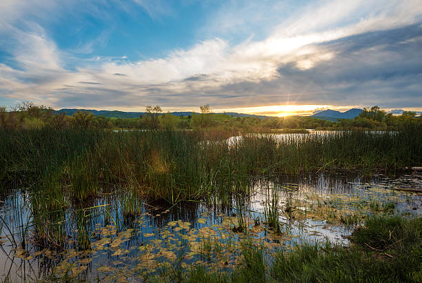 Pântano Creek ponto de viragem ao pôr do sol com Monte Diablo - fotografia de stock