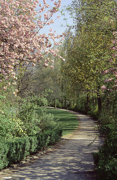 istock Spring Flowers Trees Park Path City Park Brussels Belgium Europe 467746306
