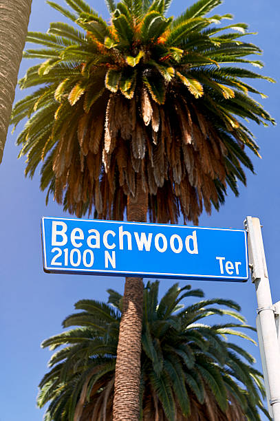 Beachwood Photos Stock Photos Pictures Royalty Free Images iStock Beachwood Photos Stock Photos Pictures Royalty Free Images iStock
