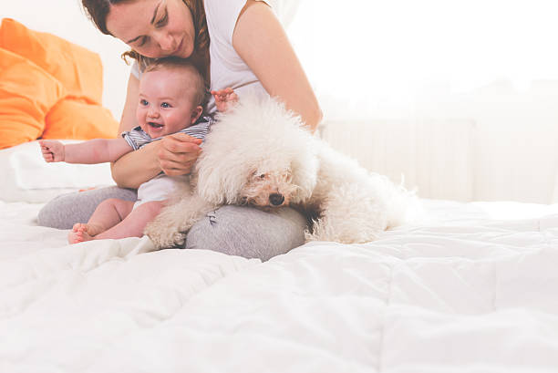 istock Happy family with a dog 467750748