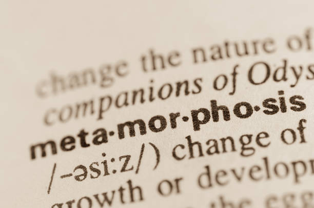 istock Dictionary definition of word 467752296