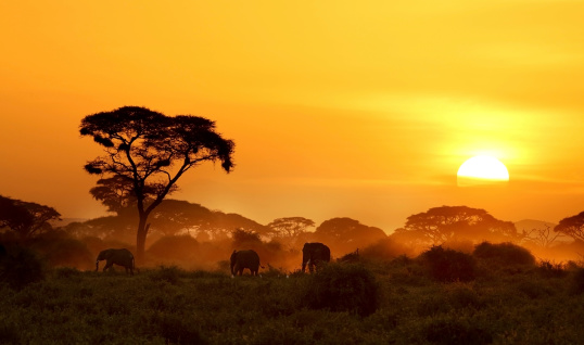 Sunset in Amboseli.