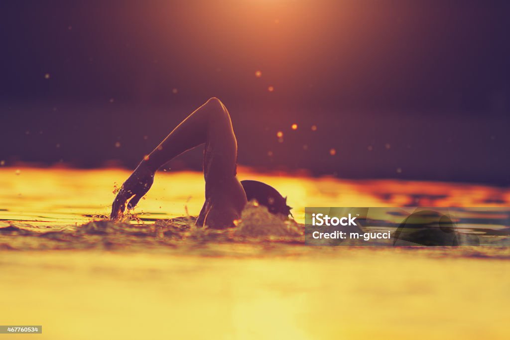 Swimming in tropical colors Swimming in tropical colors. Swimming Stock Photo