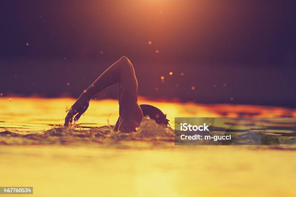 Swimming In Tropical Colors Stock Photo - Download Image Now - Swimming, Lake, Sea