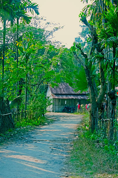 Singpho house, Miao, Arunachal Pradesh, India