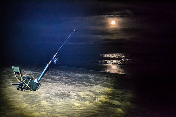 Surf Fishing at night