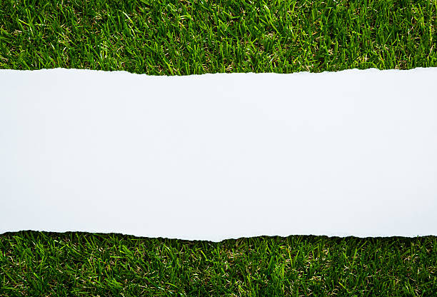 istock Ripped paper on green grass background 467766995