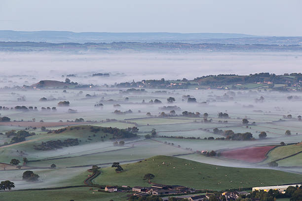 autunno nebbia sulla piana del somerset - somerset levels foto e immagini stock