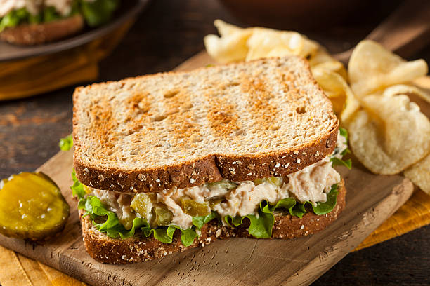 sanduíche de atum com alface e saudável - tuna salad sandwich - fotografias e filmes do acervo