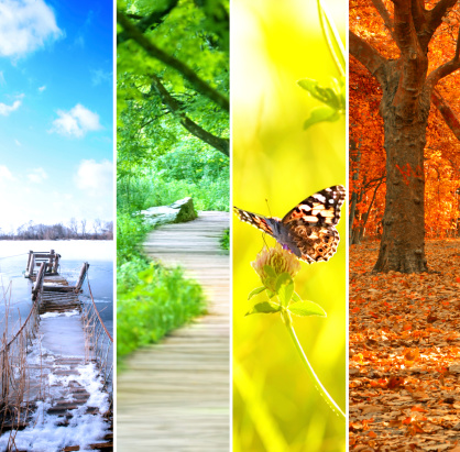 collage de four seasons photo