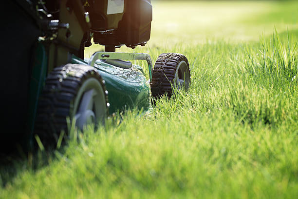 Close up of machine mowing grass
