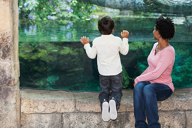 istock Mother and son at the zoo 467773675
