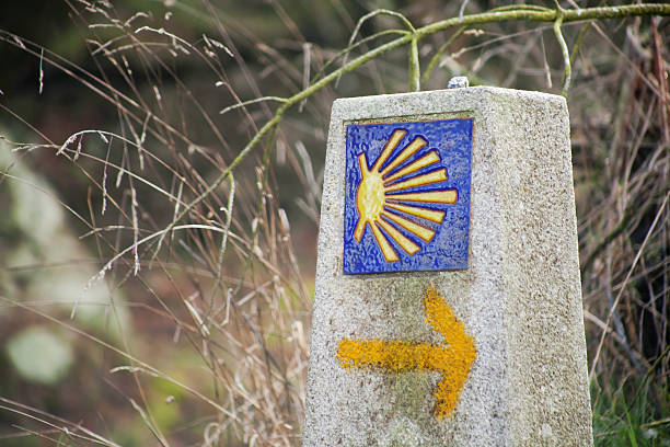 istock Camino de Santiago and pilgrims shell 467773711