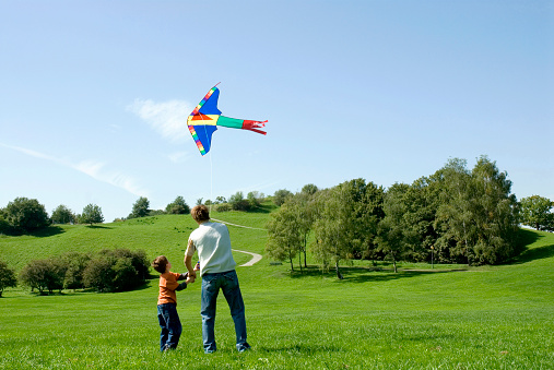 Father and son flying a kite, rear view