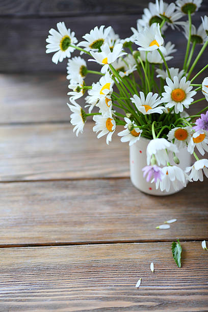 istock Blooming Daisies in a white vase 467774860