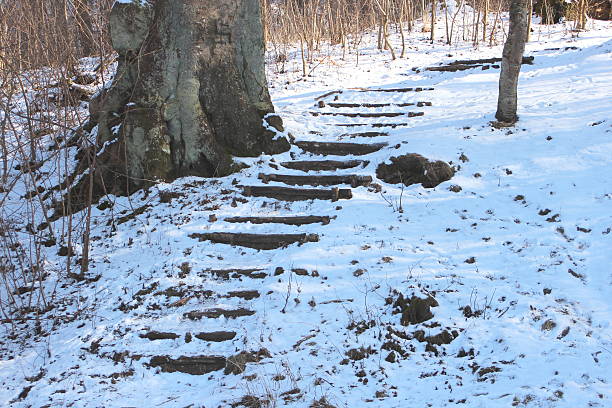 istock Snowy smooth stairs in winter forest 467776893
