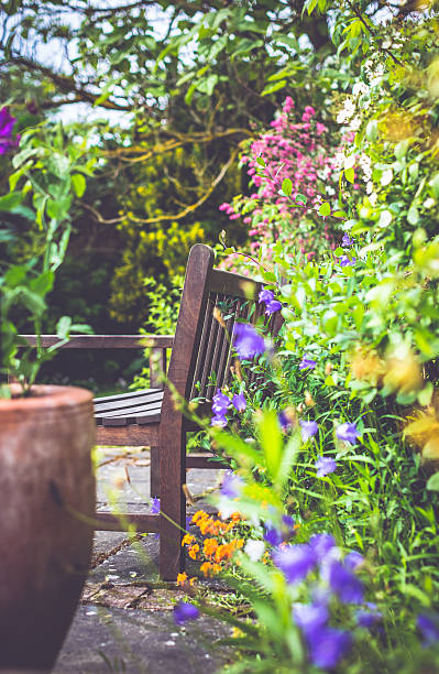 garden - formal garden garden path bench flower 뉴스 사진 이미지