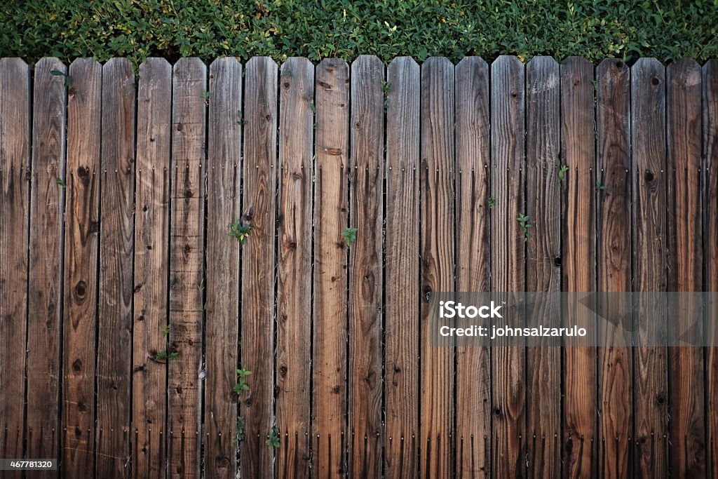 Neighborhood Fence With Plants Growing through Tall brown fence on a home in a neighborhood.  2015 Stock Photo