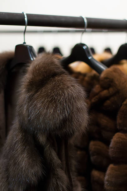 istock Collection of fur 467782080