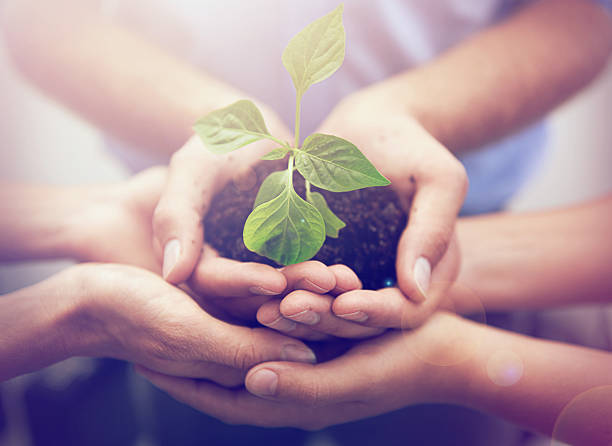 istock We hold the future of the planet in our hands... 467782848