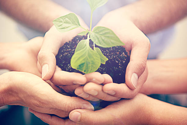 istock They are a green business 467783114