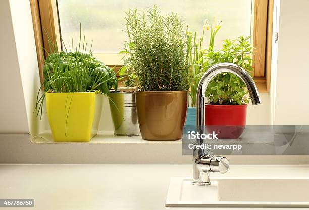 Herbs Growing In Kitchen Stock Photo - Download Image Now - Vegetable Garden, Kitchen, Window