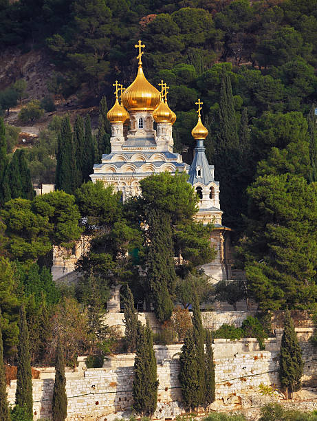 istock Golden domes in  the green park 467787320