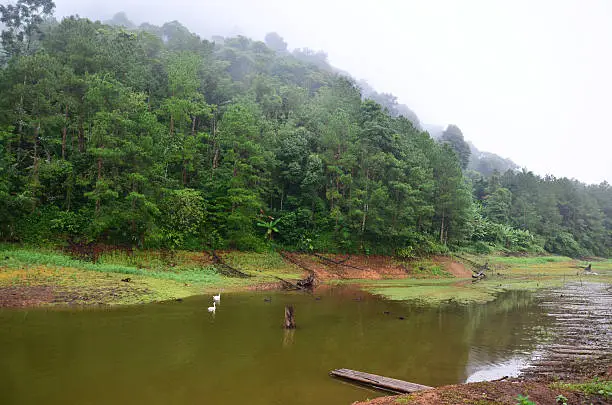 Photo of Round raft Bamboo on a large reservoir in Pang Ung