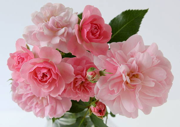 istock Bouquet of pink roses. 467795968