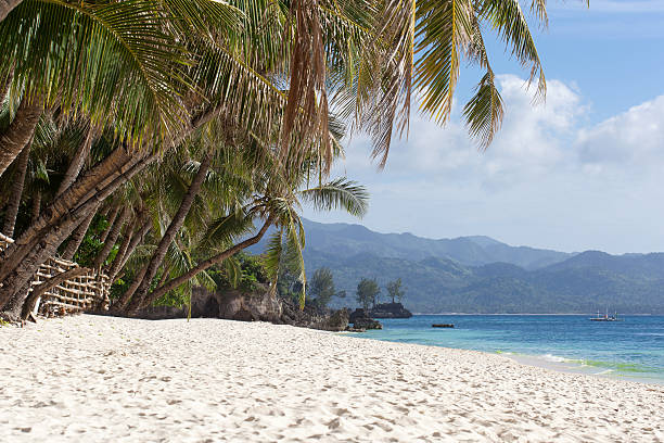 istock Tropical beach with beautiful palms and white sand, Philippines 467796076