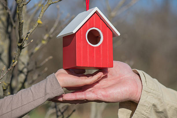 Nesting box of red color in hands of the person in a warm season