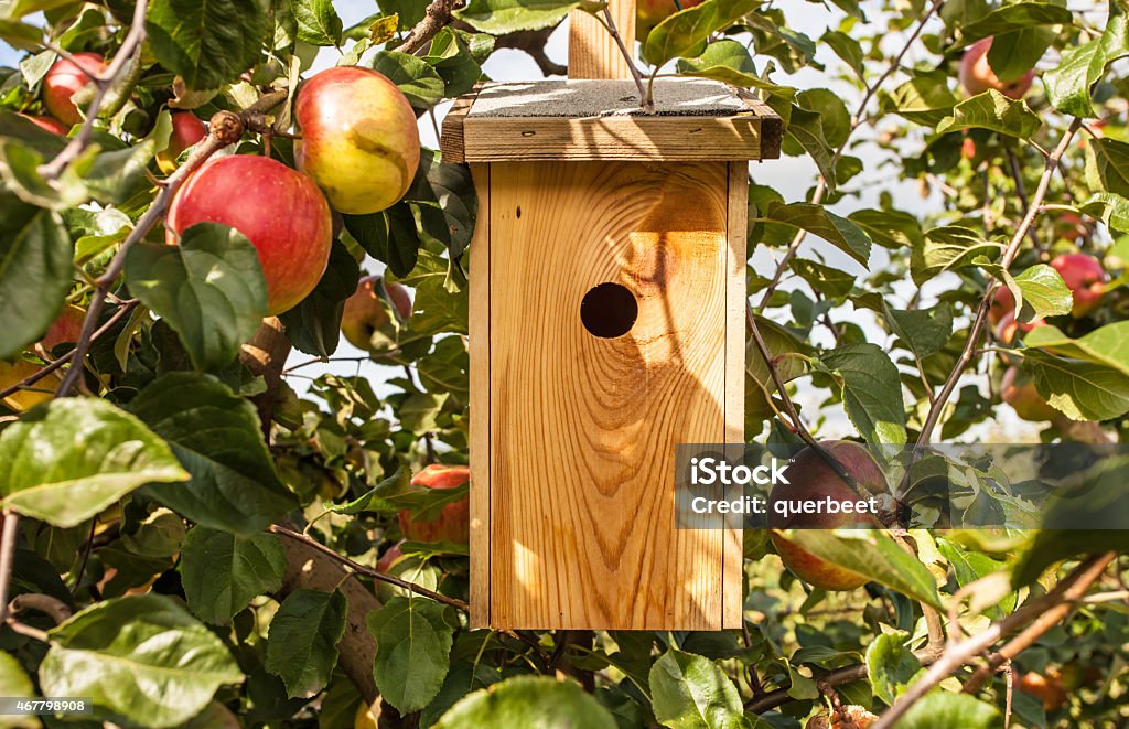 Apfelbaum mit Vogel-Haus - Lizenzfrei Vogelhäuschen Stock-Foto