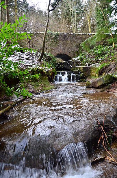 istock River in Woodland 467799260