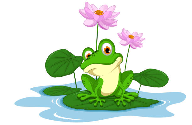 illustrations, cliparts, dessins animés et icônes de grenouille verte assis sur une feuille - water lily pink yellow