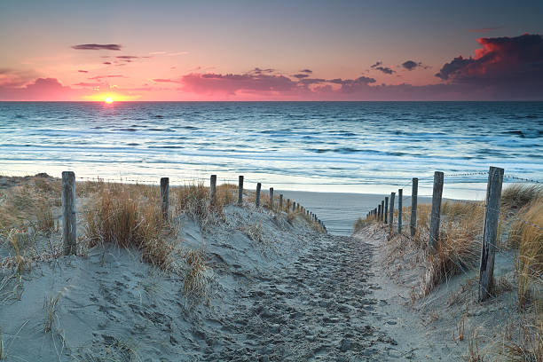 istock sand path to North sea beach before sunset 467803218