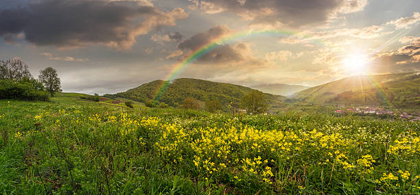 istock valley with yellow flowers in mountains at sunset 467805608