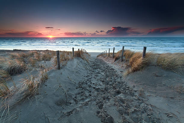 istock sand path to beach on North sea at sunset 467806128