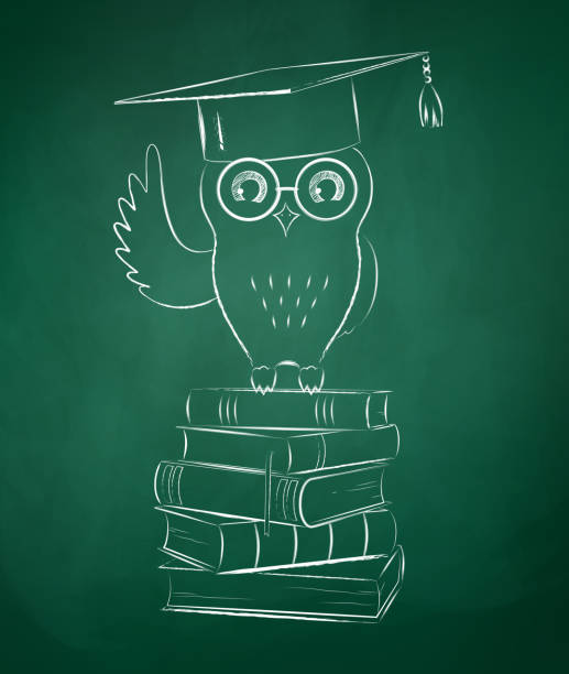 istock Green & white chalkboard drawing of an owl standing on books 467806190