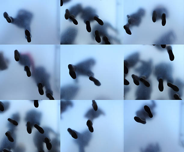 istock Feet of people who standing on translucent glass 467806439