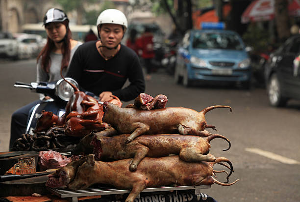 residuo conveniencia Tormento Venta Y Compra De Perro Carne En Vietnam Foto de stock y más banco de  imágenes de Carne de perro - Carne de perro, 2015, Alimento - iStock