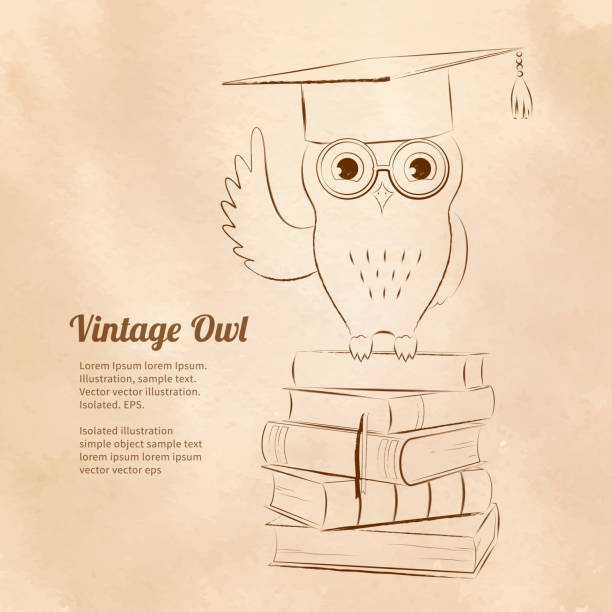 ilustrações de stock, clip art, desenhos animados e ícones de coruja sentado sobre livros. - pilha roupa velha