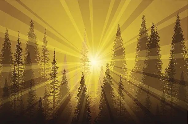 Vector illustration of Trees In Golden Mist