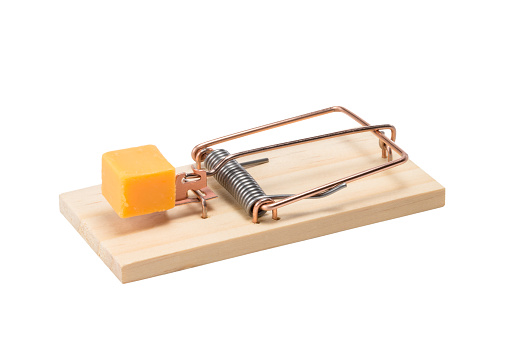 Photograph of a classic spring mousetrap baited with a large piece of orange cheddar cheese.  The trap has a copper mechanism and steel spring mounted on wood.  The subject is viewed from above and isolated on a white background.  Applicable concepts could include risk, reward, motivation and many others.